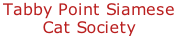Tabby Point Siamese  Cat Society